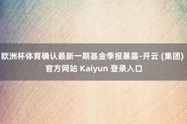 欧洲杯体育确认最新一期基金季报暴露-开云 (集团) 官方网站 Kaiyun 登录入口