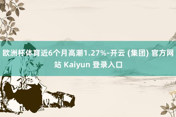 欧洲杯体育近6个月高潮1.27%-开云 (集团) 官方网站 Kaiyun 登录入口