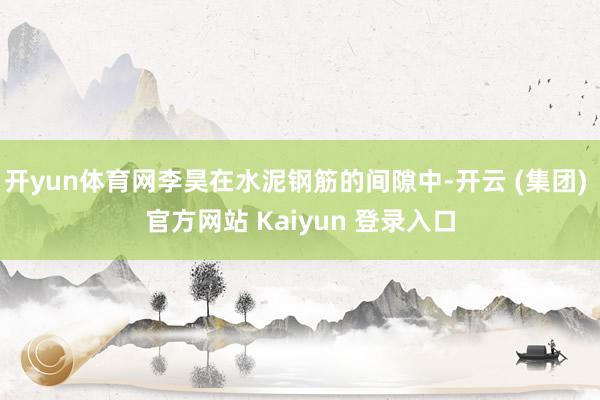 开yun体育网李昊在水泥钢筋的间隙中-开云 (集团) 官方网站 Kaiyun 登录入口