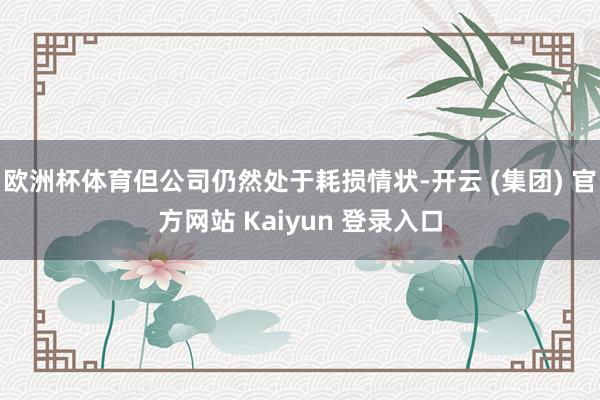 欧洲杯体育但公司仍然处于耗损情状-开云 (集团) 官方网站 Kaiyun 登录入口