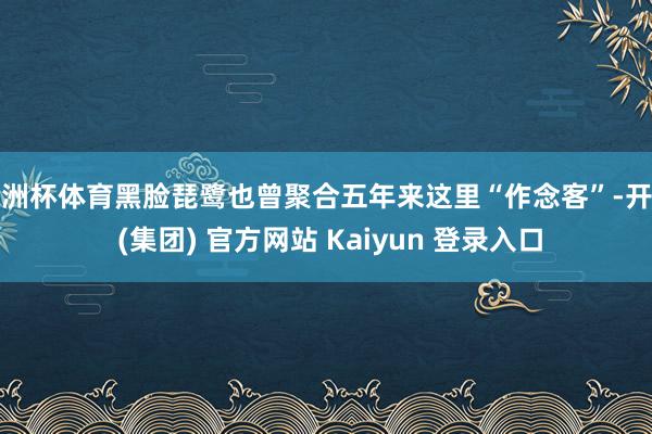 欧洲杯体育黑脸琵鹭也曾聚合五年来这里“作念客”-开云 (集团) 官方网站 Kaiyun 登录入口