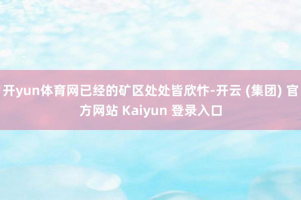 开yun体育网已经的矿区处处皆欣忭-开云 (集团) 官方网站 Kaiyun 登录入口