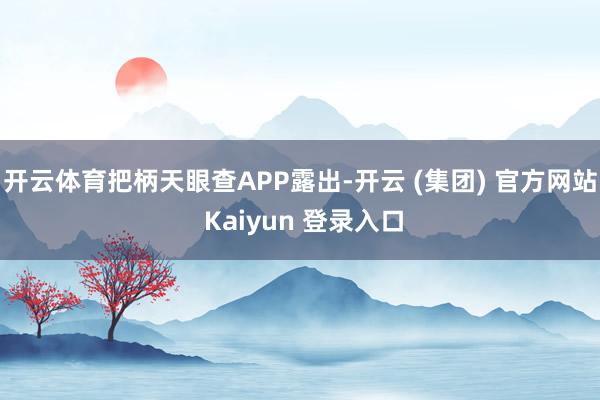 开云体育把柄天眼查APP露出-开云 (集团) 官方网站 Kaiyun 登录入口