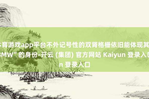 体育游戏app平台不外记号性的双肾格栅依旧能体现其“BMW”的身份-开云 (集团) 官方网站 Kaiyun 登录入口
