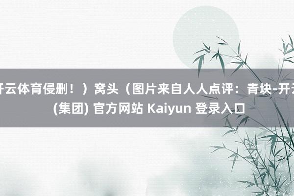 开云体育侵删！）窝头（图片来自人人点评：青块-开云 (集团) 官方网站 Kaiyun 登录入口