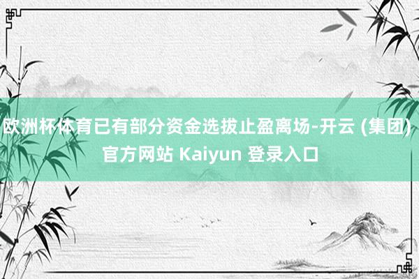 欧洲杯体育已有部分资金选拔止盈离场-开云 (集团) 官方网站 Kaiyun 登录入口
