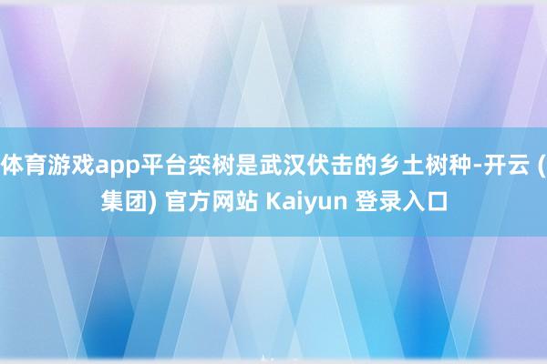 体育游戏app平台栾树是武汉伏击的乡土树种-开云 (集团) 官方网站 Kaiyun 登录入口