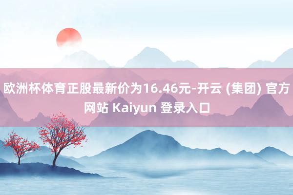 欧洲杯体育正股最新价为16.46元-开云 (集团) 官方网站 Kaiyun 登录入口