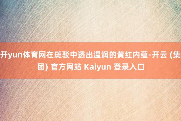 开yun体育网在斑驳中透出温润的黄红内蕴-开云 (集团) 官方网站 Kaiyun 登录入口