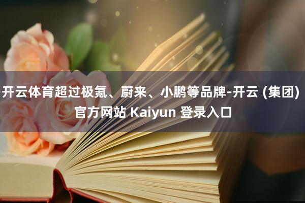 开云体育超过极氪、蔚来、小鹏等品牌-开云 (集团) 官方网站 Kaiyun 登录入口