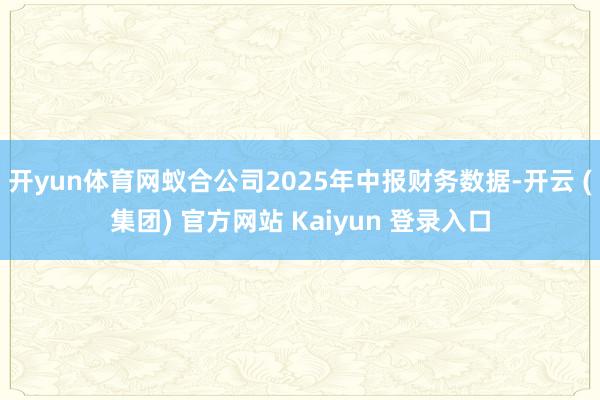开yun体育网蚁合公司2025年中报财务数据-开云 (集团) 官方网站 Kaiyun 登录入口