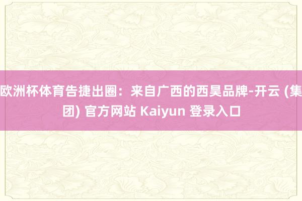 欧洲杯体育告捷出圈：　　来自广西的西昊品牌-开云 (集团) 官方网站 Kaiyun 登录入口